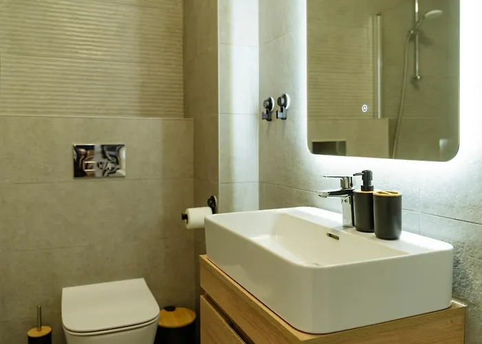 Zenith Aviatiei Pipera Business Center Free Parking *