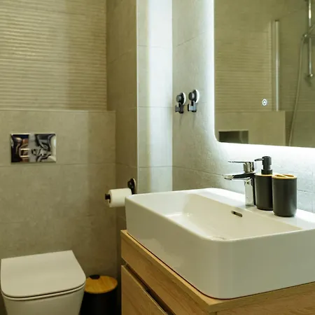 Zenith Aviatiei Pipera Business Center Free Parking *